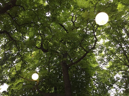 Matkoilla Prahassa ja Tampereella